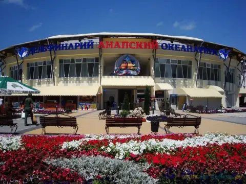 Рядом с Анапским дельфинарием "Немо"